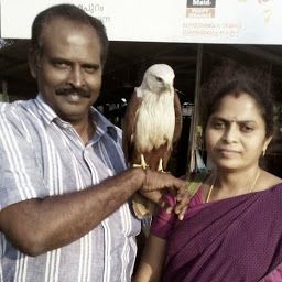 Sundari Raja | Wrytin