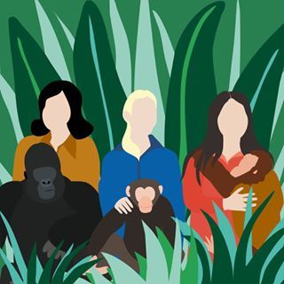 Leaky's Angels:The Trimates | Wrytin