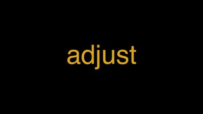 Meaning of Adjust in Hindi - हिंदी में मतलब | Wrytin