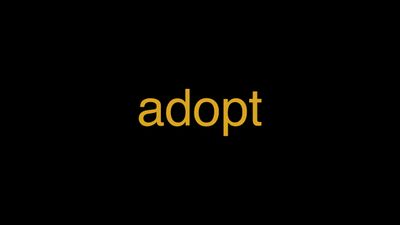 Meaning of Adopt in Hindi - हिंदी में मतलब | Wrytin
