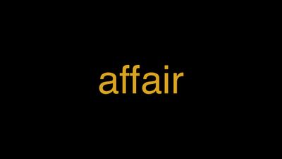 Meaning of Affair in Hindi - हिंदी में मतलब | Wrytin