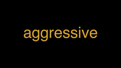 Meaning of Aggressive in Hindi - हिंदी में मतलब | Wrytin
