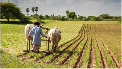 agriculture backbone of india essay