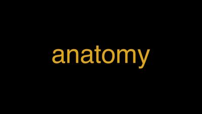 Humanor not? visual data 2