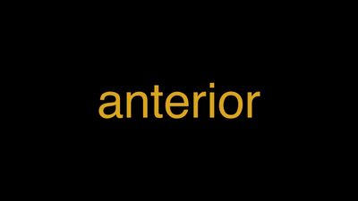 Meaning of Anterior in Hindi - हिंदी में मतलब | Wrytin