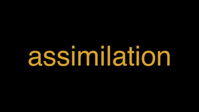 Meaning of Assimilation in Hindi - हिंदी में मतलब | Wrytin