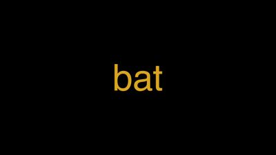 Meaning of Bat in Hindi - हिंदी में मतलब | Wrytin