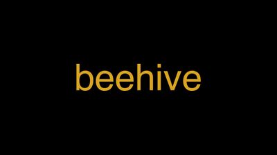 Meaning of Beehive in Hindi - हिंदी में मतलब | Wrytin