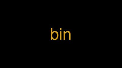 Meaning of Bin in Hindi - हिंदी में मतलब | Wrytin