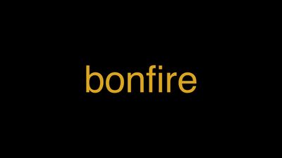 Meaning of Bonfire in Hindi - हिंदी में मतलब | Wrytin