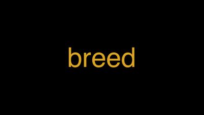 Meaning of Breed in Hindi - हिंदी में मतलब | Wrytin