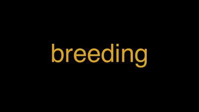 Meaning of Breeding in Hindi - हिंदी में मतलब | Wrytin