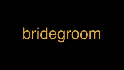Meaning of Bridegroom in Hindi - हिंदी में मतलब | Wrytin