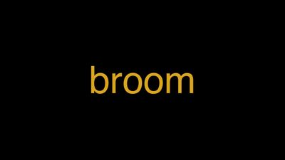 Meaning of Broom in Hindi - हिंदी में मतलब | Wrytin