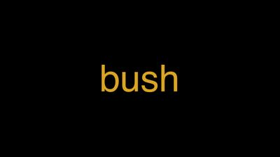 Meaning of Bush in Hindi - हिंदी में मतलब | Wrytin