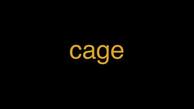 Meaning of Cage in Hindi - हिंदी में मतलब | Wrytin