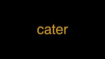 Meaning of Cater in Hindi - हिंदी में मतलब | Wrytin