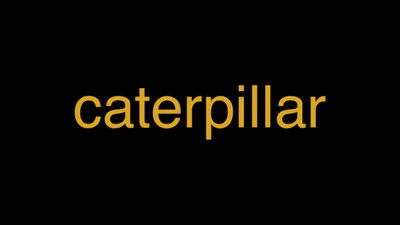 Meaning of Caterpillar in Hindi - हिंदी में मतलब | Wrytin