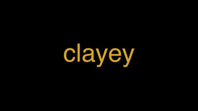 Meaning of Clayey in Hindi - हिंदी में मतलब | Wrytin