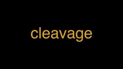 Meaning of Cleavage in Hindi - हिंदी में मतलब | Wrytin