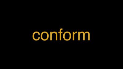 Meaning of Conform in Hindi - हिंदी में मतलब | Wrytin