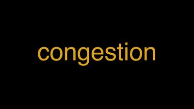Meaning of Congestion in Hindi - हिंदी में मतलब | Wrytin