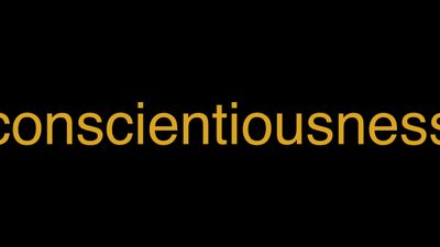 Meaning of Conscientiousness in Hindi - हिंदी में मतलब | Wrytin
