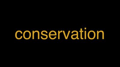Meaning of Conservation in Hindi - हिंदी में मतलब | Wrytin