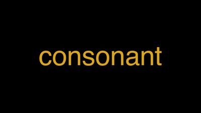 Meaning of Consonant in Hindi - हिंदी में मतलब | Wrytin