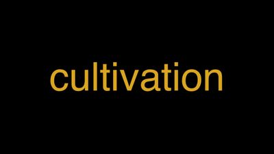 Meaning of Cultivation in Hindi - हिंदी में मतलब | Wrytin