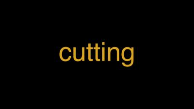 Meaning of Cutting in Hindi - हिंदी में मतलब | Wrytin