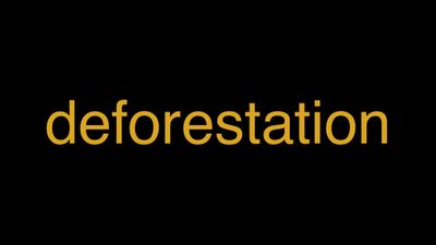 Meaning of Deforestation in Hindi - हिंदी में मतलब | Wrytin