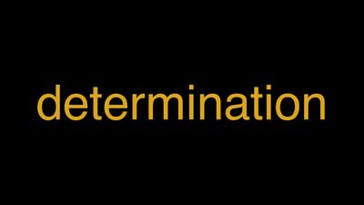 Meaning of Determination in Hindi - हिंदी में मतलब | Wrytin