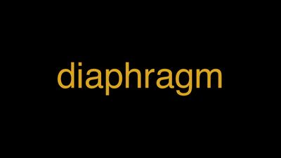 Meaning of Diaphragm in Hindi - हिंदी में मतलब | Wrytin