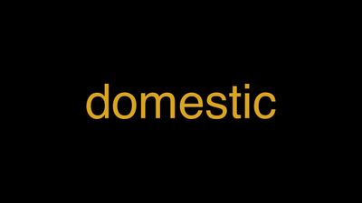 Meaning of Domestic in Hindi - हिंदी में मतलब | Wrytin
