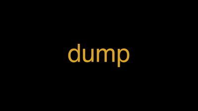 Meaning of Dump in Hindi - हिंदी में मतलब | Wrytin
