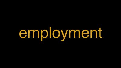 Meaning of Employment in Hindi - हिंदी में मतलब | Wrytin