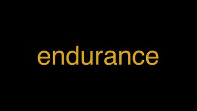 Meaning of Endurance in Hindi - हिंदी में मतलब | Wrytin