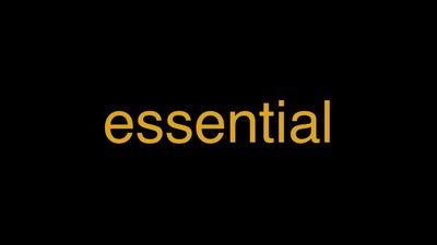 Meaning of Essential in Hindi - हिंदी में मतलब | Wrytin