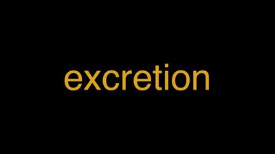 Meaning of Excretion in Hindi - हिंदी में मतलब | Wrytin