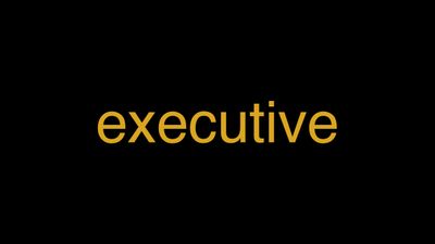 Meaning of Executive in Hindi - हिंदी में मतलब | Wrytin