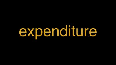Meaning of Expenditure in Hindi - हिंदी में मतलब | Wrytin