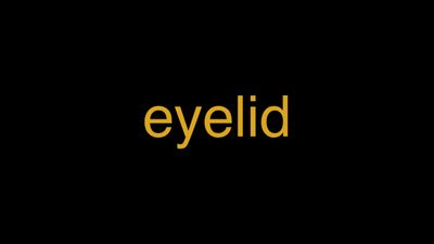 Meaning of Eyelid in Hindi - हिंदी में मतलब | Wrytin