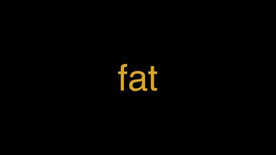 Fat visual data 2