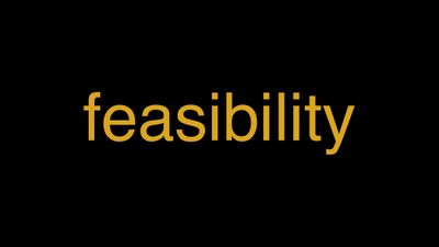 Meaning of Feasibility in Hindi - हिंदी में मतलब | Wrytin
