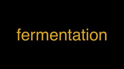 Meaning of Fermentation in Hindi - हिंदी में मतलब | Wrytin