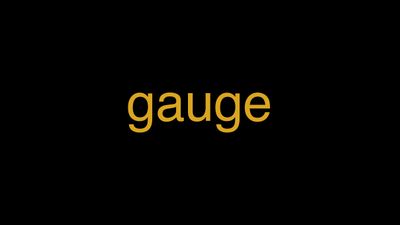 Meaning of Gauge in Hindi - हिंदी में मतलब | Wrytin