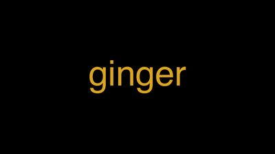 Meaning of Ginger in Hindi - हिंदी में मतलब | Wrytin