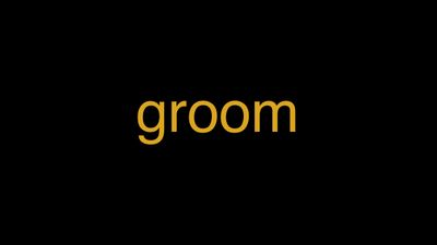 Meaning of Groom in Hindi Wrytin