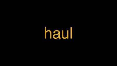 Meaning of Haul in Hindi - हिंदी में मतलब | Wrytin
